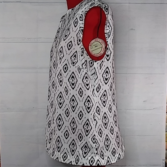 Abs Platinum Sleeveless Blouse Sz L - Picture 2 of 6